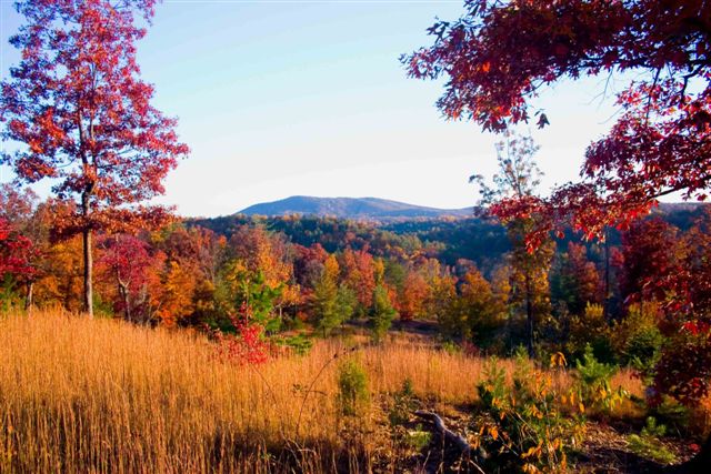 IndSpgMtn093.jpg